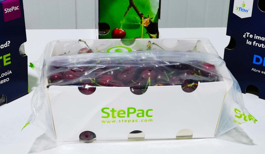 StePac’s Automated Packaging Formats Reign on the Chile- China Route